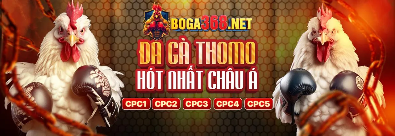 Hình ảnh tổng hợp các trò chơi tại nohu90